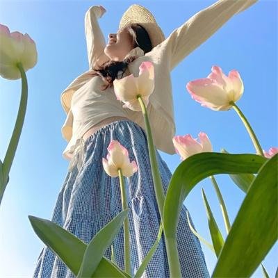 边境音暴